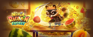 raccoon